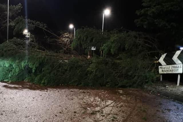Trees came down at Melville Lodge roundabout last night (Pic: Fife Jammer Locations)