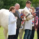 Persimmon Homes will be the headline sponsor for the 2024 Fife Show.  (Pic: Cupar Camera Club)
