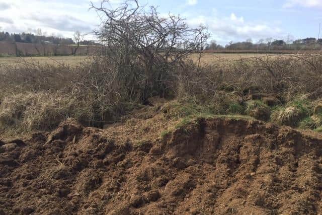Spoil heap damage shown in the field (Pic:  Crown Office)