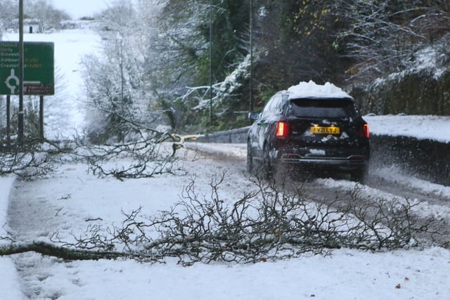 Fallen branches on the A6 in Buxton