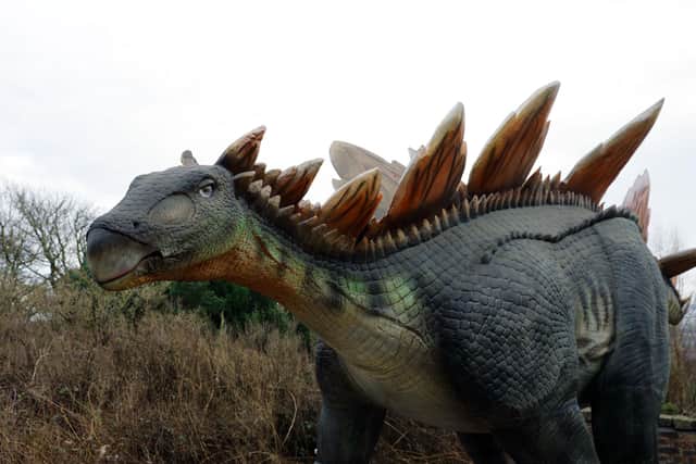 Edinburgh Zoo's newly-arrived stegosaurus.