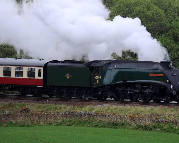 The 'Union of South Africa' steam locomotive could soon have a permament home at Balbuthie.