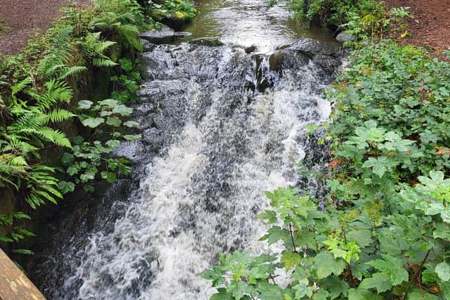 Members of the public can have their say on plans to restore a section of one of central Fife’s most important watercourses (Pic: Fife Council)