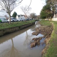 Council starts work on next phase of clearing Kinness Burn in St Andrews