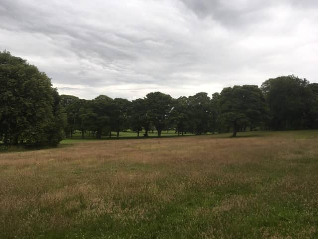 The council is considering allowing some areas of green space, such as parts of Beveridge Park in Kirkcaldy, to  grow wild.