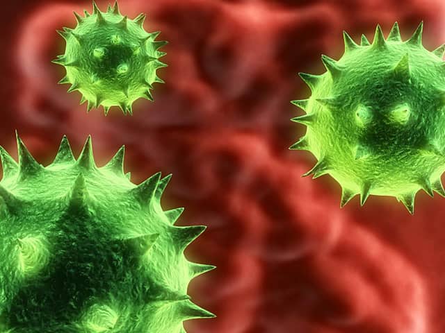 The norovirus bug can cause vomiting.