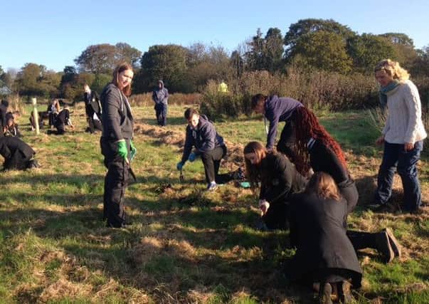 Pupils from KHS help with planting at Dunnikier Park in Kirkcaldy