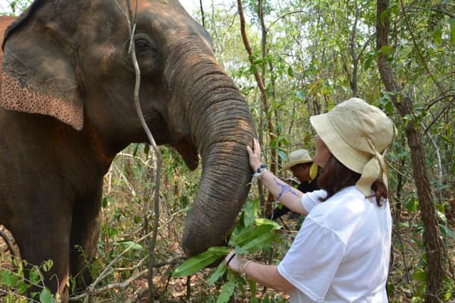 Ailsa Meldrum gets up close to one of the Asian elephants at the Surin Project in Thailand
