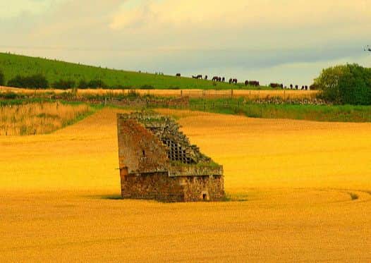 Parbroath dovecot near Cupar, but the area isn't reckoned by locals to be that attractive.area  Picture B4bees
