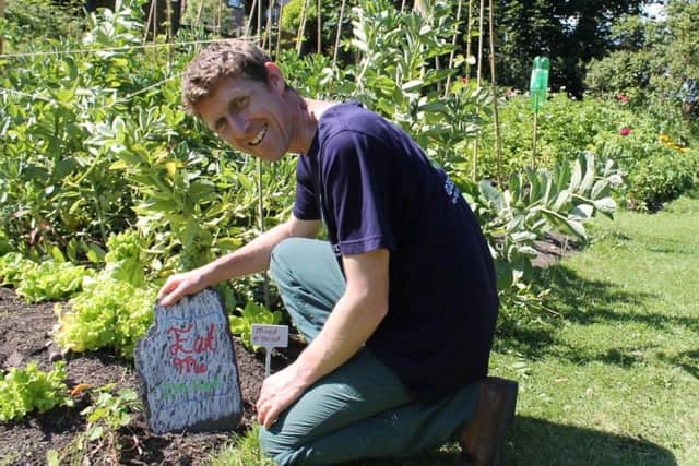 Alistair Macleod of TransitionUStA working in one of the project's organic gardens.