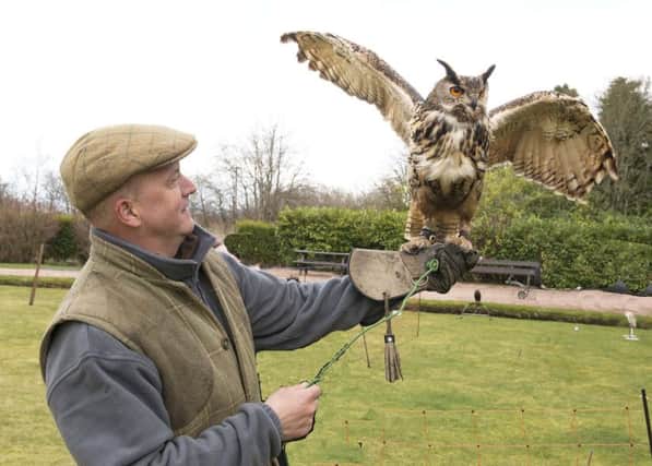 Falconer Steve Brazendale  and his magnificent birds of prey were a big attraction at Craigtoun.