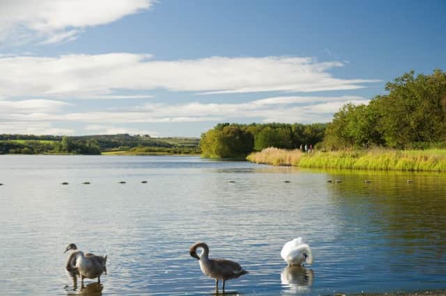 Rainbow trout fishing is set for a welcome return at Lochore Meadows