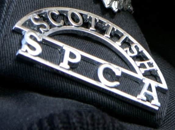 The Scottish SPCA is investigating