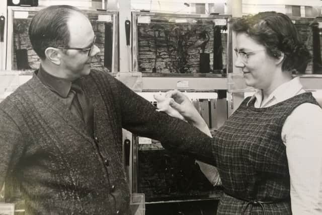 A young David and Helen Galloway - and mouse - at their shop in 1965