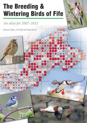 An important new book on the status of wild birds in Fife is being published this month.