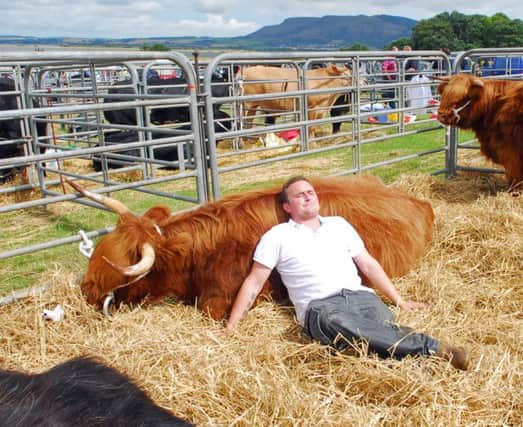 Taking a break in the sunshine at last year's Kinross Show