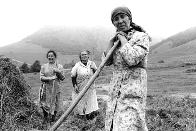Haymaking, Soviet Republic of Georgia, summer of 1989. (Franki Raffles)