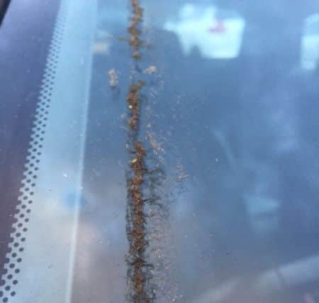 The dust found the windscreen of her car every morning.