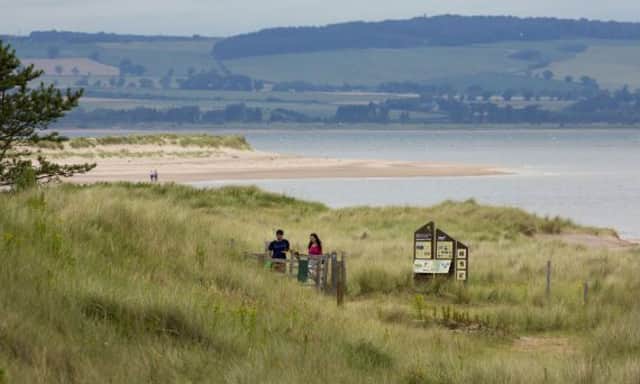 The shark was found on Tentsmuir beach by a dog walker