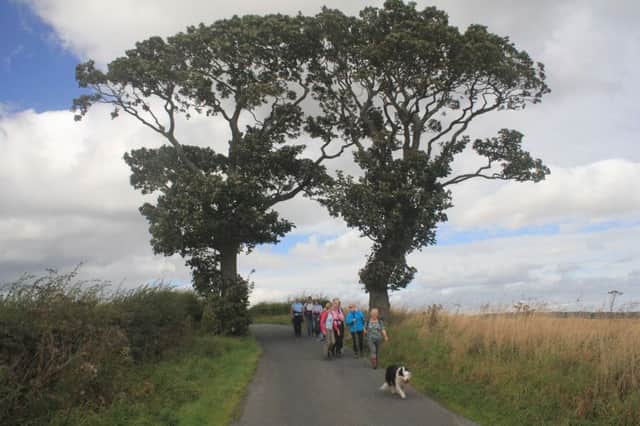Walkers at the Kissing Trees
