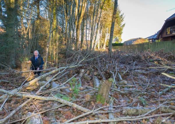 Cllr John Winton at the woodland site in Glenrothes where trees have been destroyed. (Pic Steve Brown).