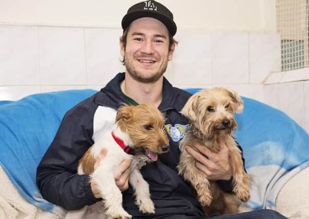 Chase Schaber visited Second Chance Dog Kennels.