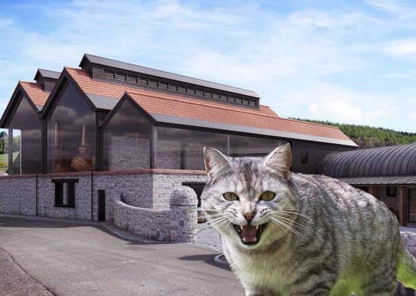 Montage An artist's impression of Lindores abbey distillery , with a cat added as they look for a mouser