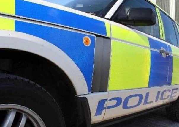 Polie are probing a dog attack on a toddler in Leven