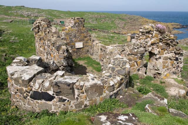 The old monastery ruins on the Isle of May (picture by SNH)