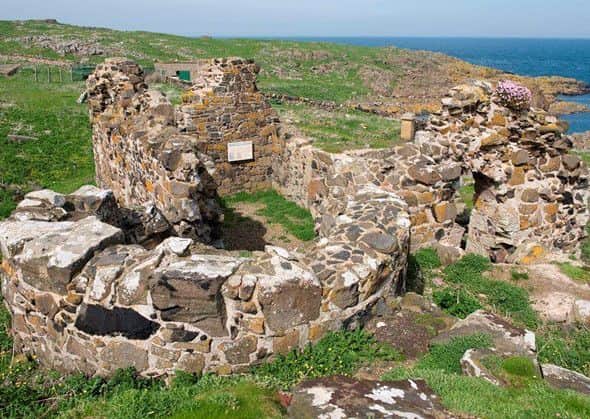 The ruins of the Isle of May's monastery (picture by SNH).
