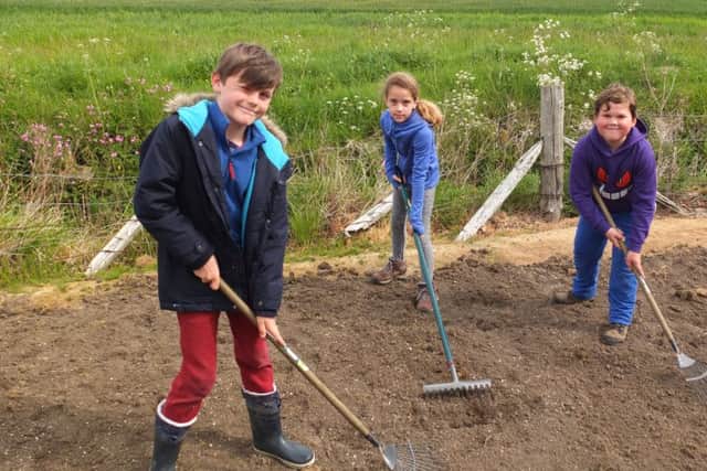 Youngsters were sowing  a wild bird seed mix as part of the scheme.