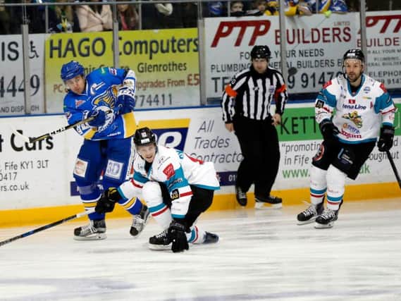 Action from last night's defeat to Belfast. Pic: Steve Gunn