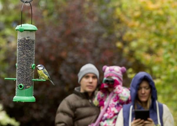 The RRSPB Big Garden Birdwatch takes place from January 27-29. Photo: Ben Hall