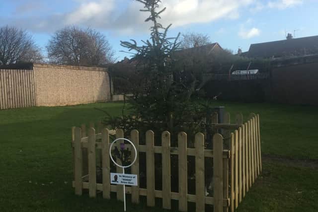 The tree near the home of Brian Kerr's family in Smeaton