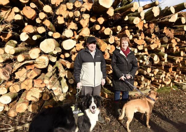 Maurice McGrath , with Finn & Frances Bell, with Oso, who are upset at the trees being felled in the park. Pic credit: Fife Photo Agency.