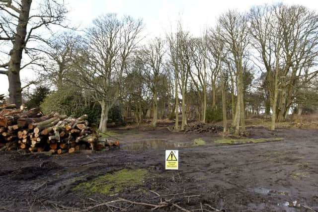 The work in the park has caused concern among locals. Pic:  Fife Photo Agency