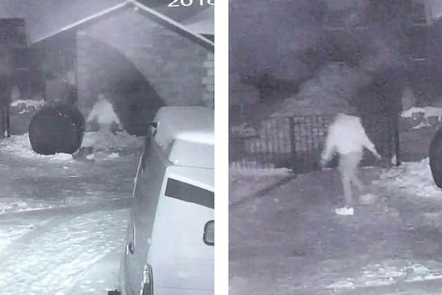 CCTV stills show someone letting the animals out.