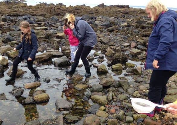 Youngsters exploring Seafield Beach.