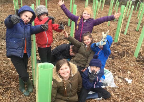 Youngsters with the trees they have been planting in Pannie Den Woods in Kirkcaldy.