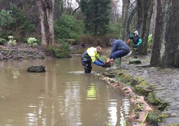 Volunteers helped out at Letham Glen.