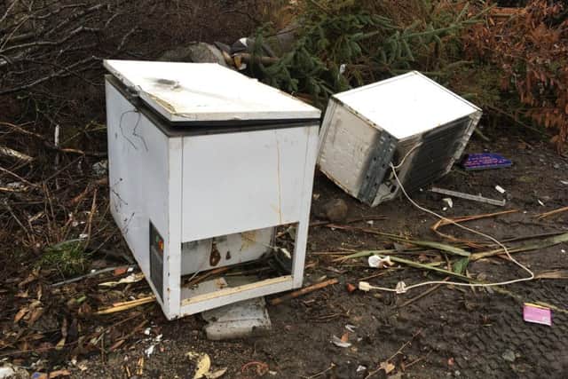 A chester freezer and an old fridge have been dumped at the side of the road. (Pic Neil Henderson).