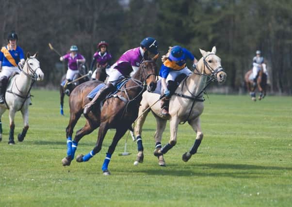 The polo event is sure to raise more cash for the charity.