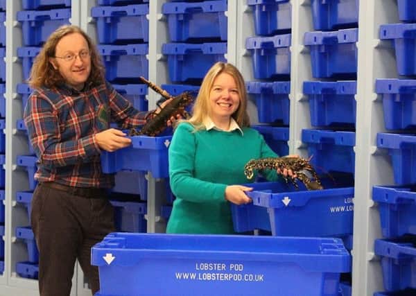 Todd Fish Tech, based in Dalgety Bay, has patented its 'Lobster Pod' product - the company is run by CEO Errin Todd with her husband Keith Todd, a marine biologist.