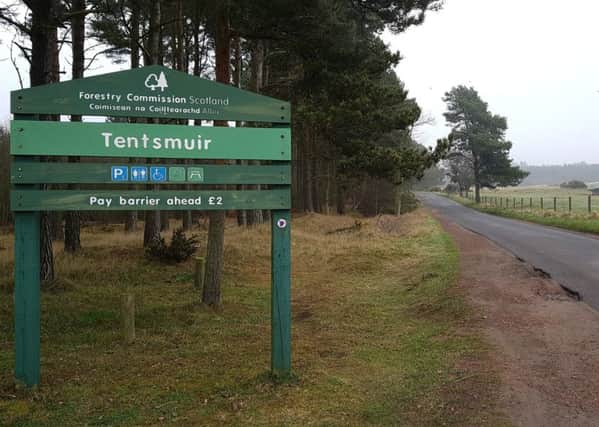 Tentsmuir Forest.