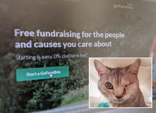 A go fund me page has been set up to cover the vet bills