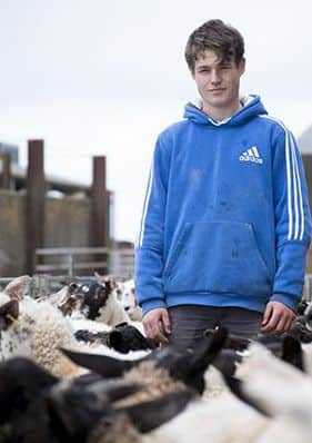 Within three weeks of joining the team, estate factor Sam Parsons 16-year-old son Hunter was shearing the sheep!