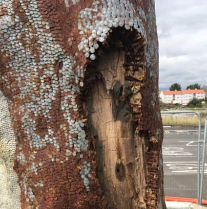 Fife Council has fenced off the sculpture because of falling debris.