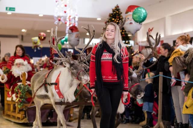 The popular reindeer parade will kick off at noon on Sunday in Kirkcaldy.