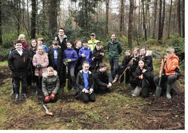 Warout Primary pupils teamed up with Fife Ecology Centre to boost  tree stocks in the local woods. Pic: George McLuskie