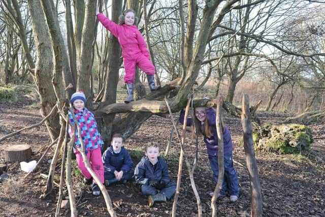 The youngsters use the wooded area for activities. Pic: George McLuskie.
